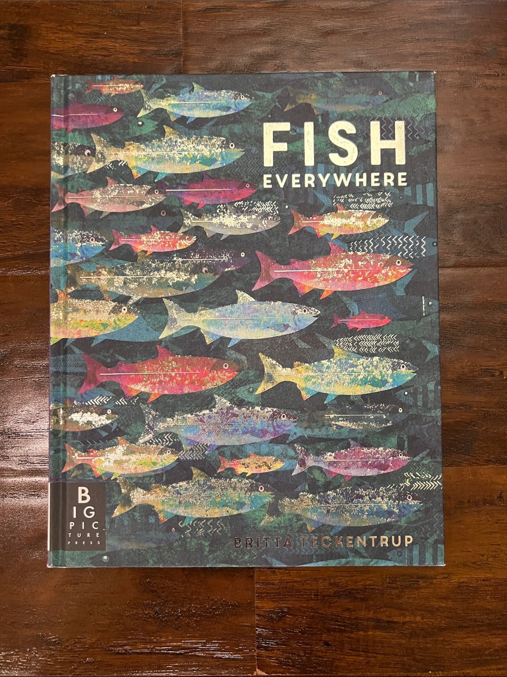 5/$10 Kids Books | Fish Everywhere